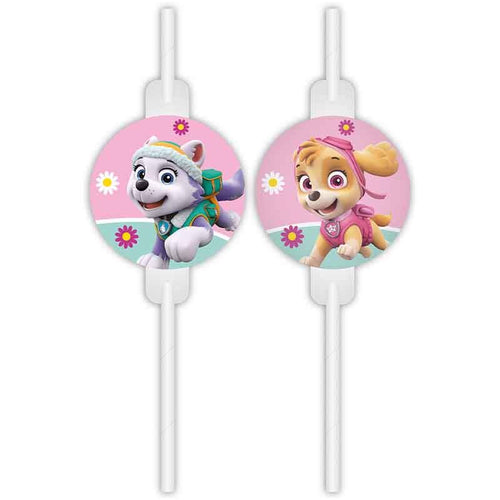 Paw Patrol Skye Medallion Paper Straws – Pack of 4 - Anilas UK