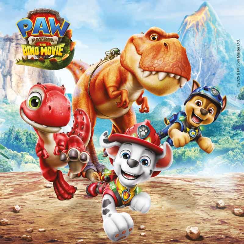 Anila's Paw Patrol Dino Movie Party Pack for 16 people - Anilas UK