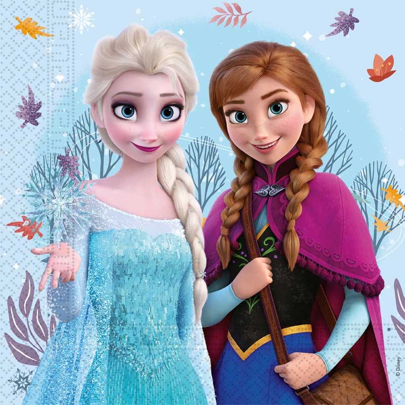 Anila's Frozen Idyllic Wonder Party Pack for 16 people