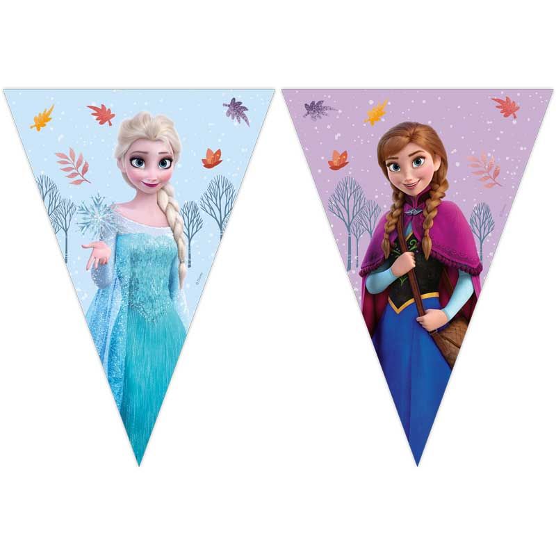 Frozen Idyllic Wonder Party Flag Bunting Banner