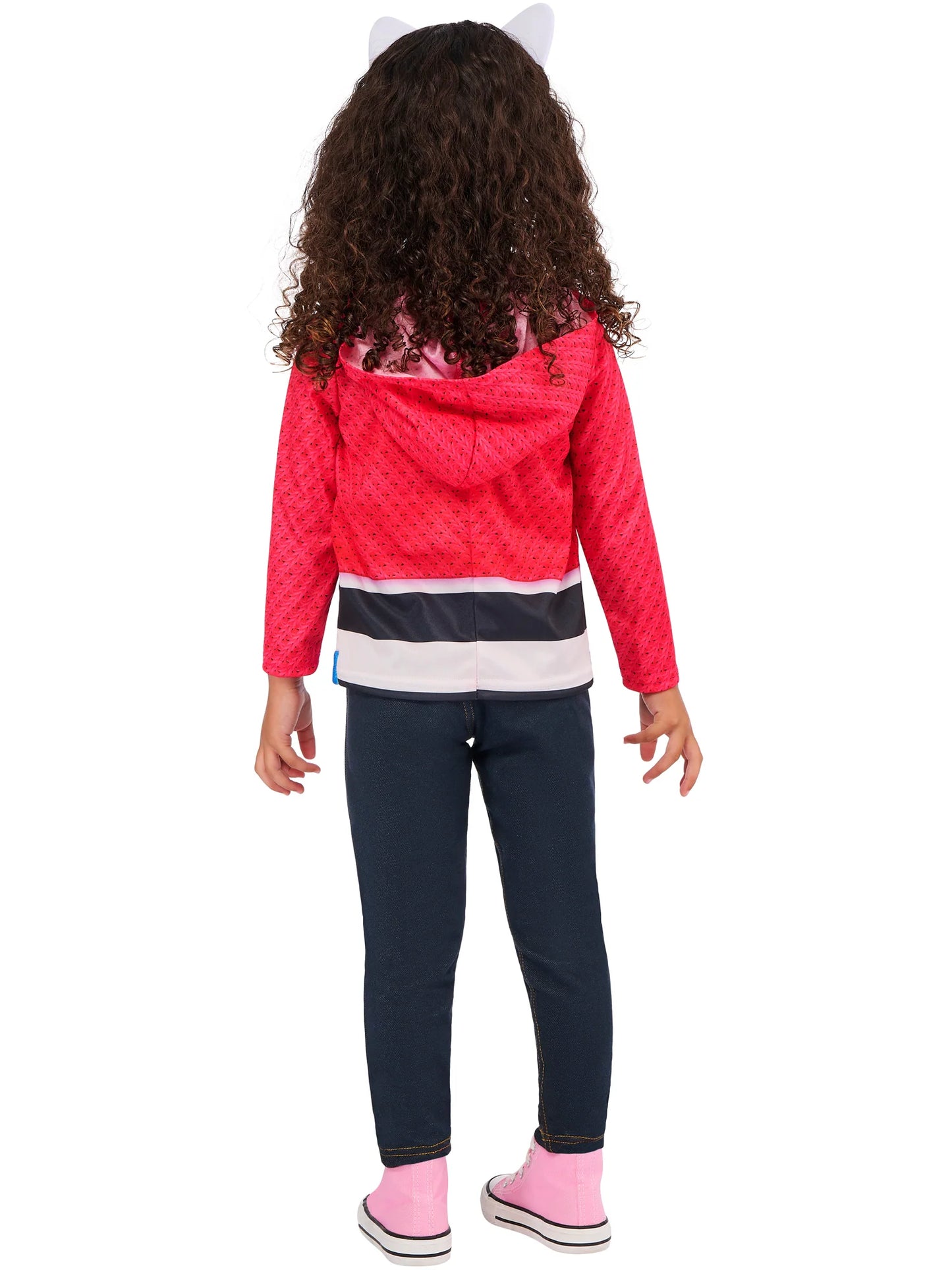 Gabby's Dollhouse Box Set - Anilas UK