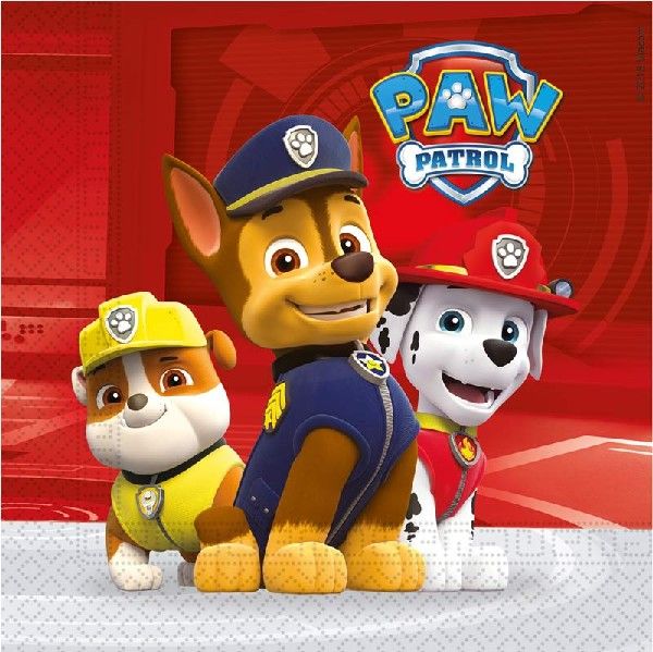 Complete Paw Patrol Themed Party Pack for 8 people Including Tableware and Favours - Anilas UK