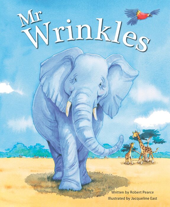 Mr Wrinkles Children's Picture Story Book - Anilas UK