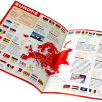 Flags Sticker Book - Anilas UK