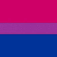 Bisexual Premium Quality Flag  (5ft x 3ft) - Anilas UK