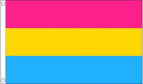 Giant Pansexual Premium Quality Flag (8ft x 5ft) - Anilas UK