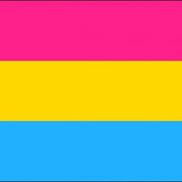 Pansexual Premium Quality Flag (5ft x 3ft) - Anilas UK