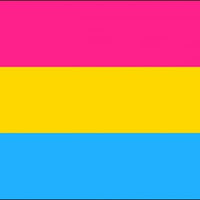 Giant Pansexual Premium Quality Flag (8ft x 5ft)