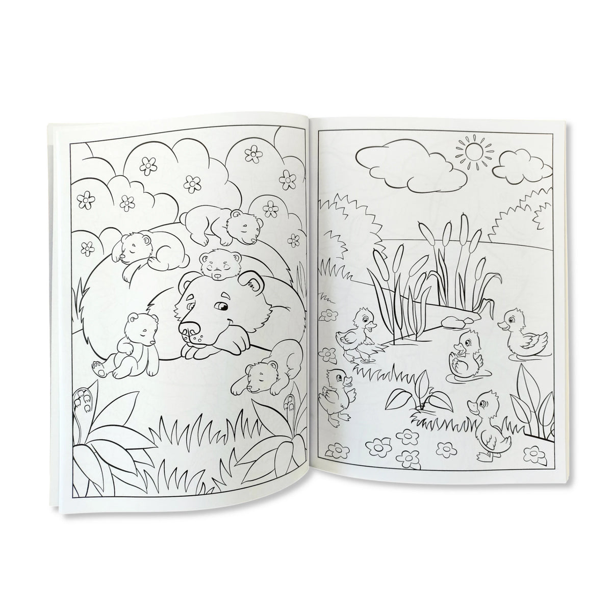 Cute Animals - 1000 Stickers and Colour - Anilas UK