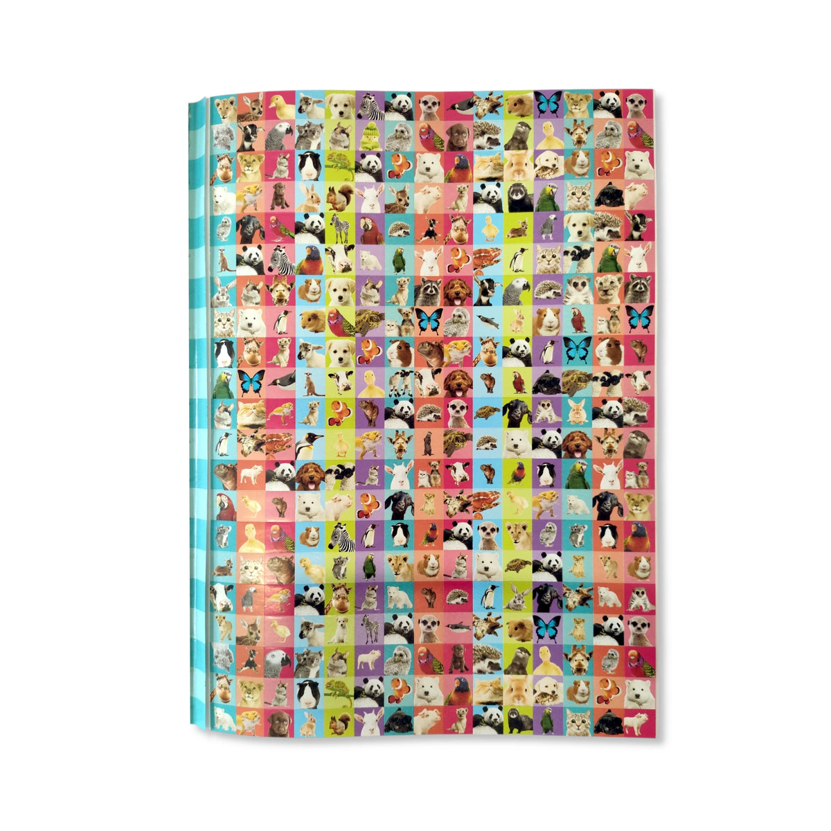 Cute Animals - 1000 Stickers and Colour - Anilas UK