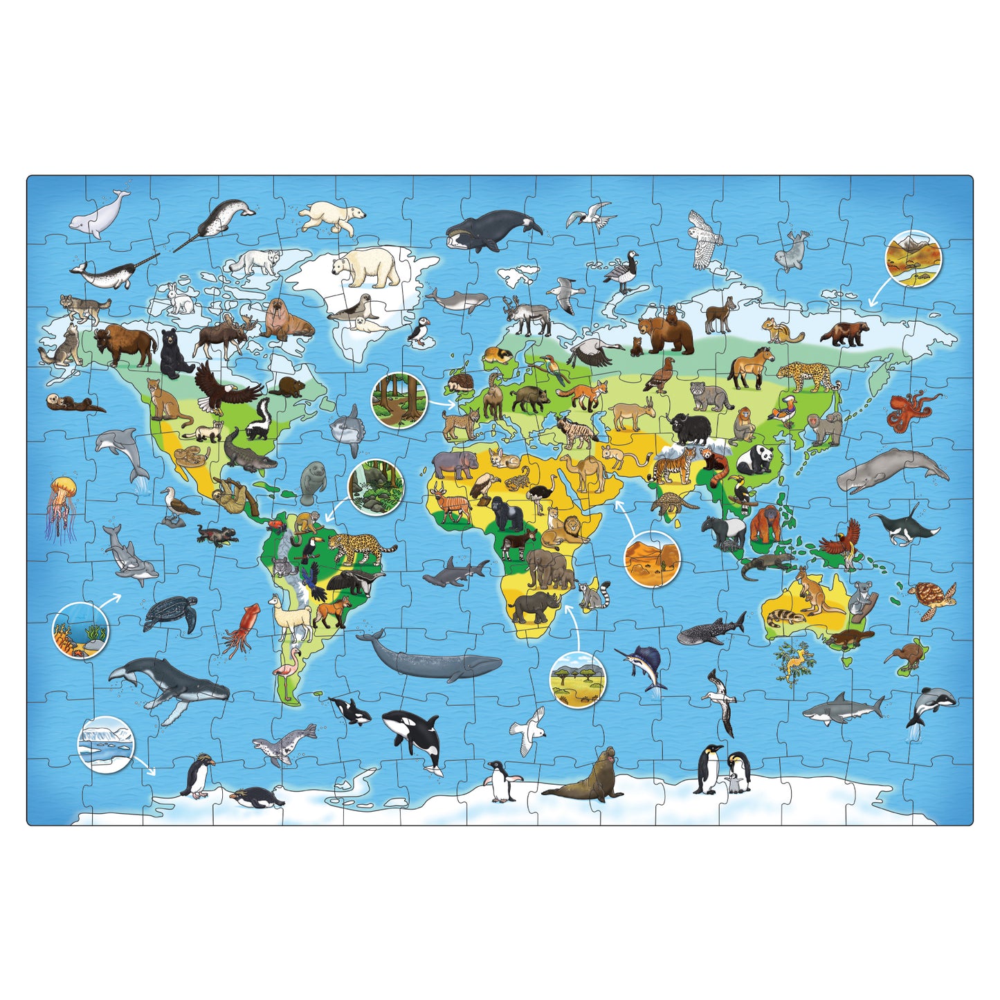 Animal World Jigsaw Puzzle - Anilas UK