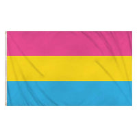 Pansexual Flag (5ft x 3ft) - Anilas UK