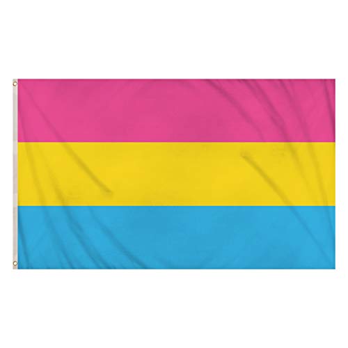 Pansexual Flag (5ft x 3ft) - Anilas UK