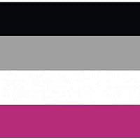 Gynephilia Premium Quality Flag (5ft x 3ft)