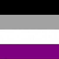 Asexual Premium Quality Flag (5ft x 3ft) - Anilas UK