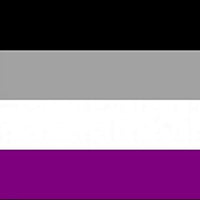 Giant Asexual Premium Quality Flag (8ft x 5ft)