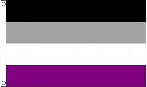 Giant Asexual Premium Quality Flag (8ft x 5ft)