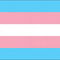 Transgender Premium Quality Flag (5ft x 3ft) - Anilas UK