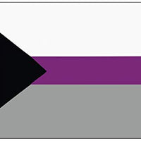 Demisexual Premium Quality Flag (5ft x 3ft)