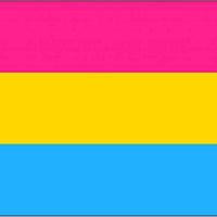 Pansexual Premium Quality Flag (3ft x 2ft) - Anilas UK