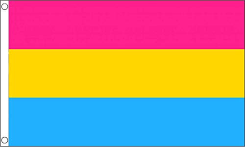 Pansexual Premium Quality Flag (3ft x 2ft) - Anilas UK