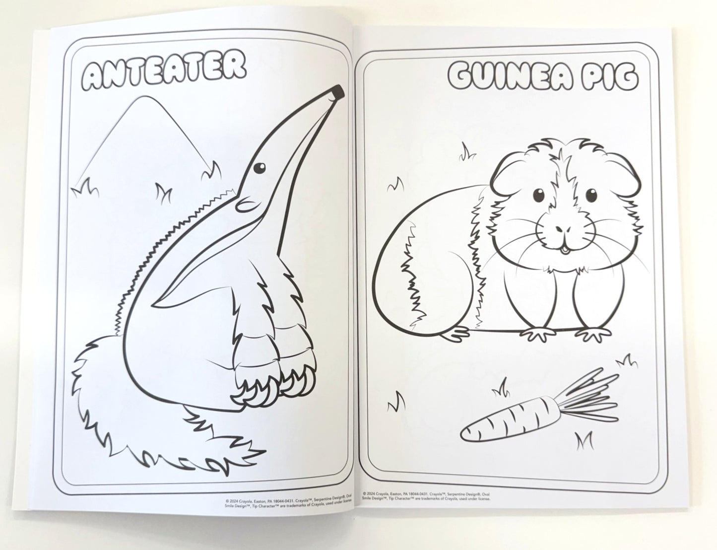 Crayola Amazing Animals Colouring Book - Anilas UK