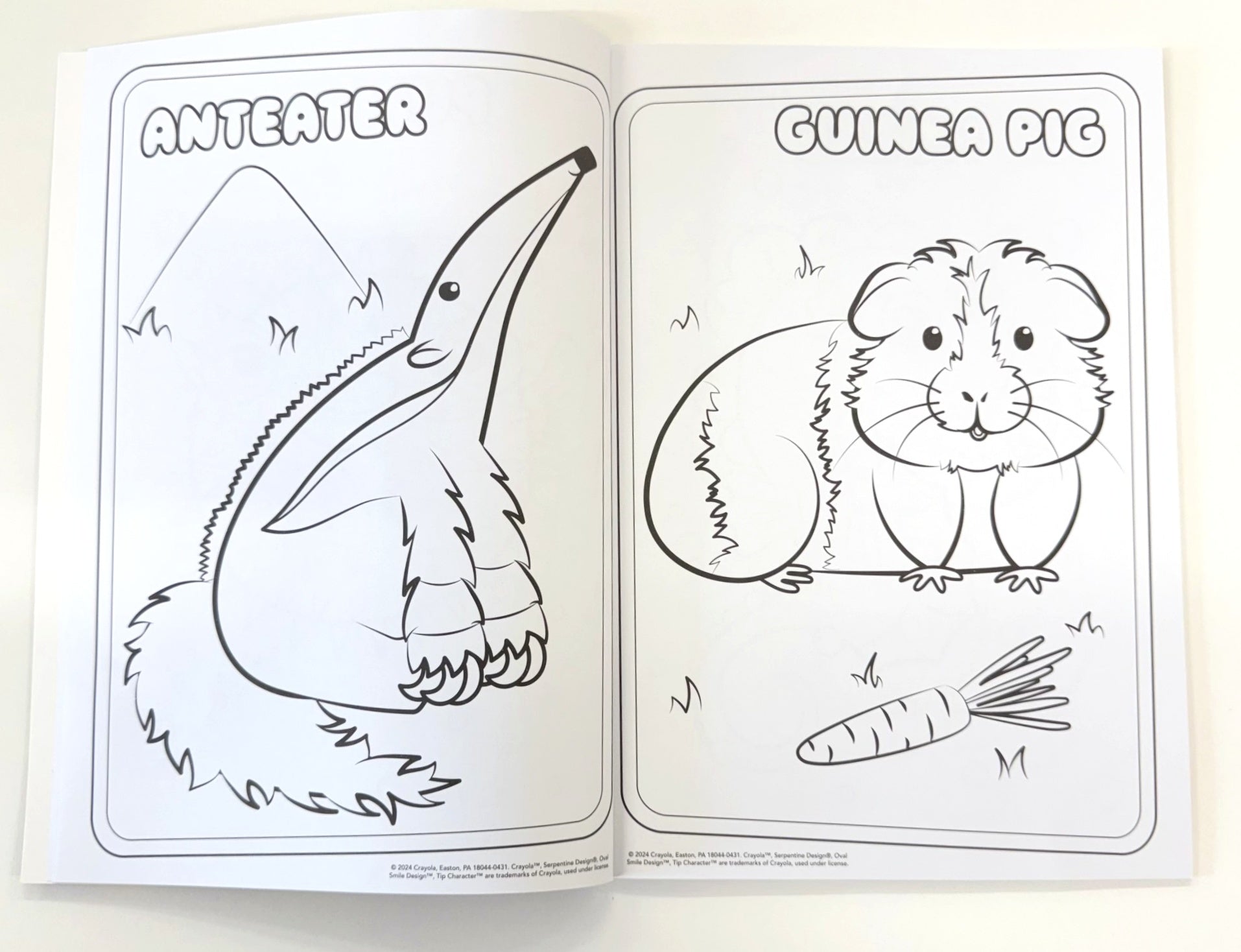 Crayola Amazing Animals Colouring Book - Anilas UK