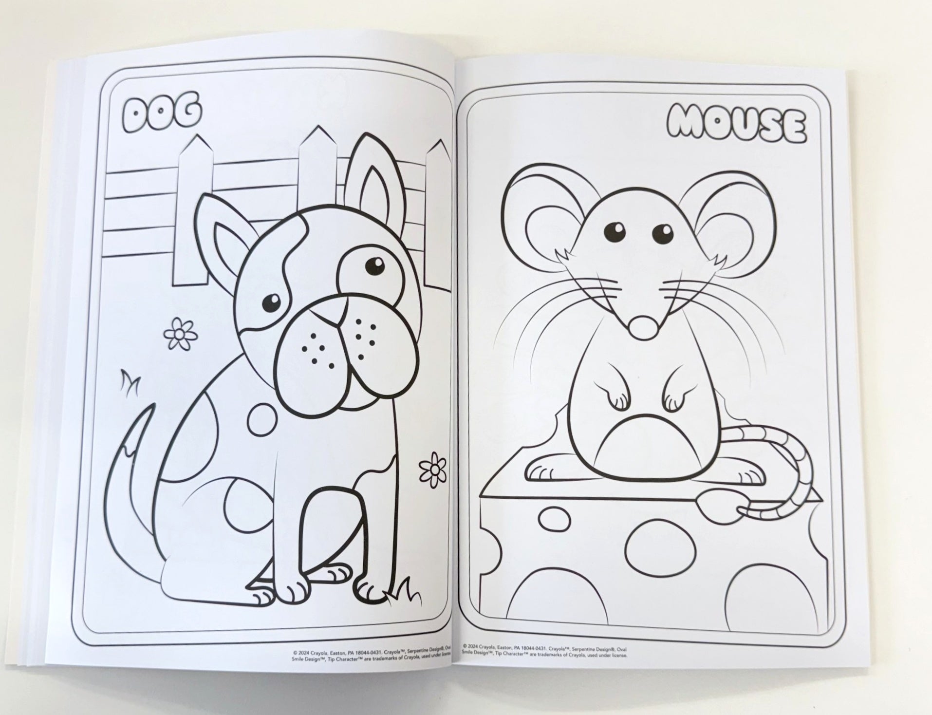 Crayola Amazing Animals Colouring Book - Anilas UK
