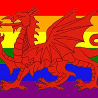 Rainbow Welsh Dragon Premium Quality Flag  (5ft x 3ft) - Anilas UK