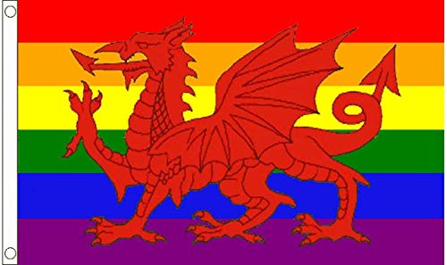 Rainbow Welsh Dragon Premium Quality Flag  (5ft x 3ft) - Anilas UK