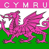 Pink Cymru Premium Quality Flag (5ft x 3ft) - Anilas UK