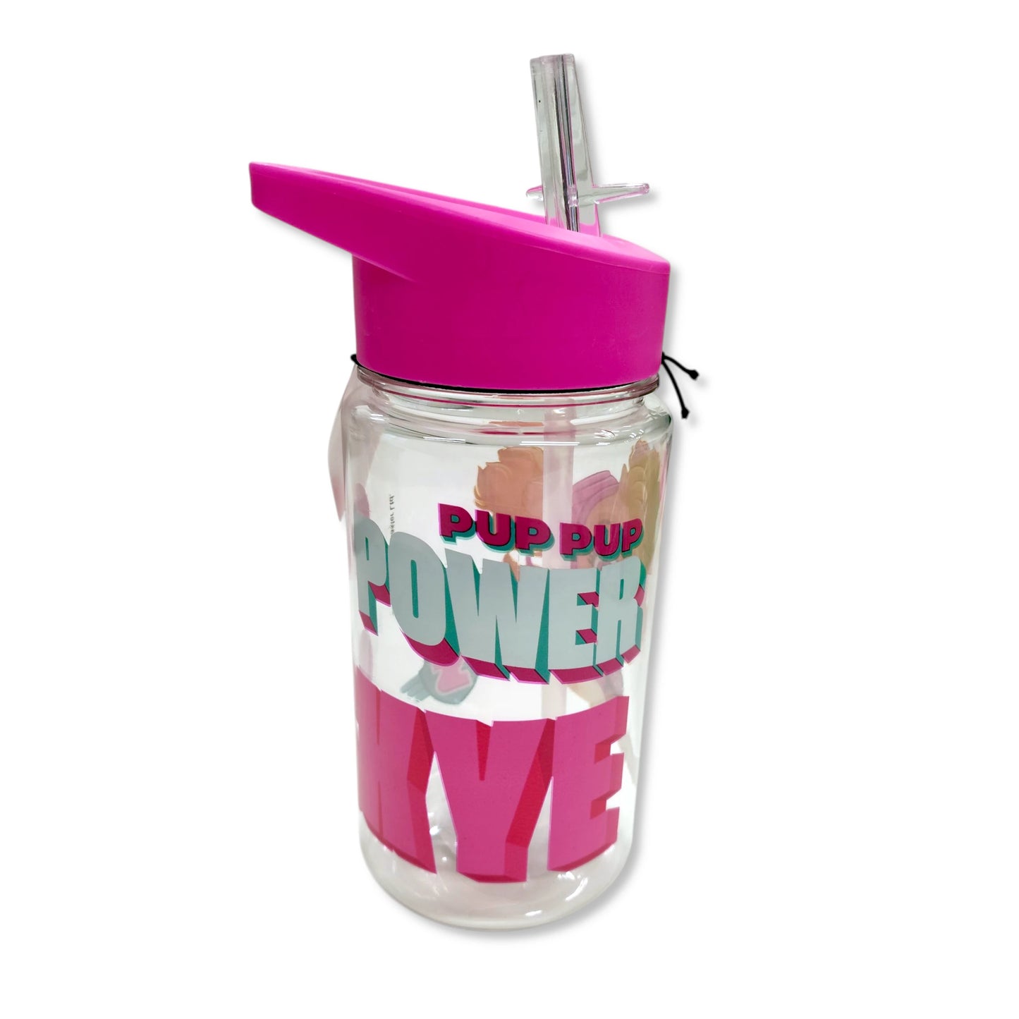 Paw Patrol Skye 450ml Kids Water Bottle with Straw & Handle - Anilas UK