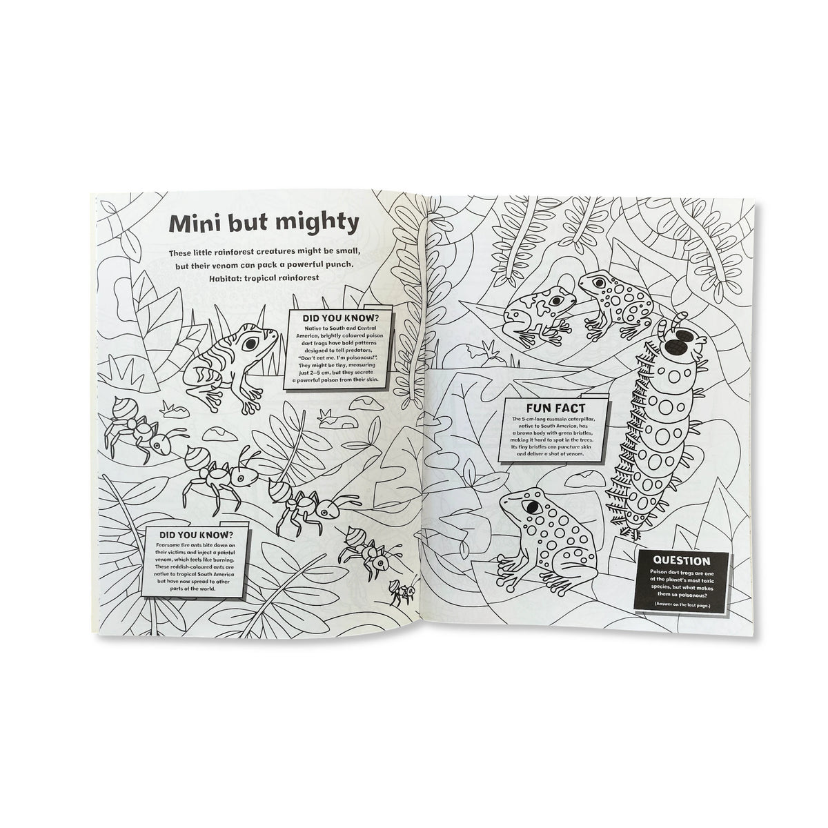 Dangerous Animal Colouring Book With Stickers - Anilas UK