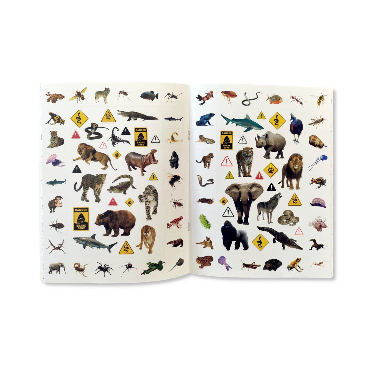 Dangerous Animal Colouring Book With Stickers - Anilas UK