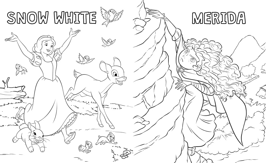 Disney Princess: Colouring Fun - Anilas UK