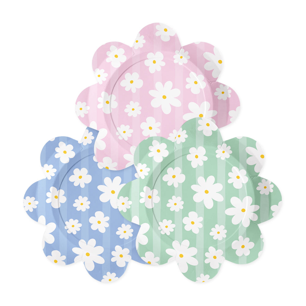 Anila's Daisies Party Pack for 8 people