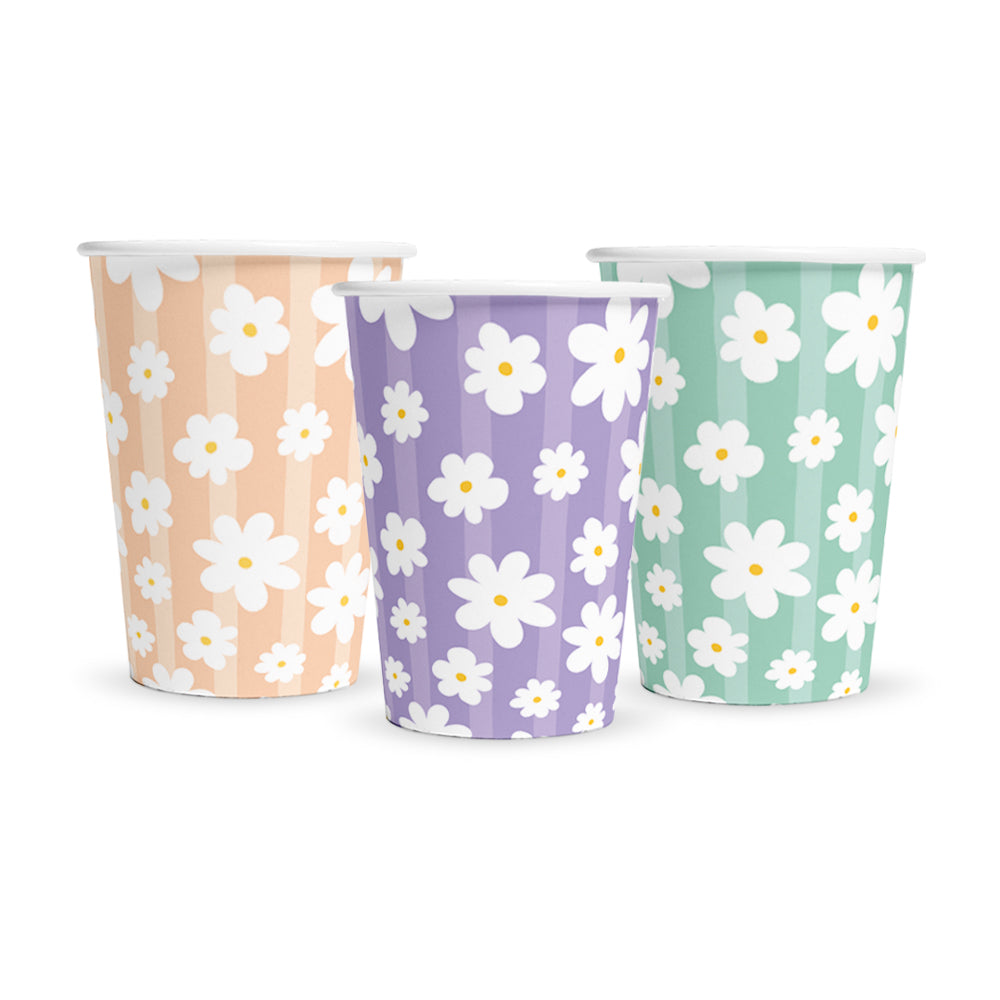 Anila's Daisies Party Pack for 8 people