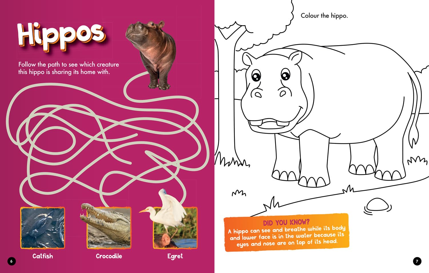 Safari Activity and Colouring Book (National Geographic Kids) - Anilas UK
