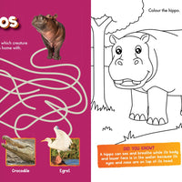 Safari Activity and Colouring Book (National Geographic Kids)