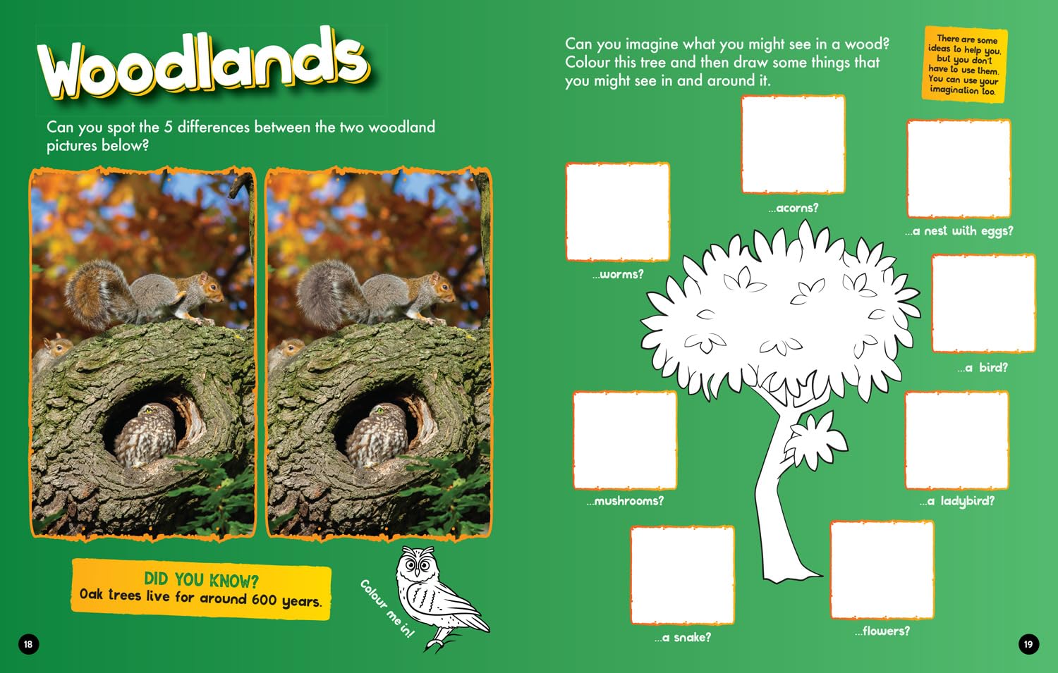 Planet Earth Activity and Colouring Book (National Geographic Kids) - Anilas UK