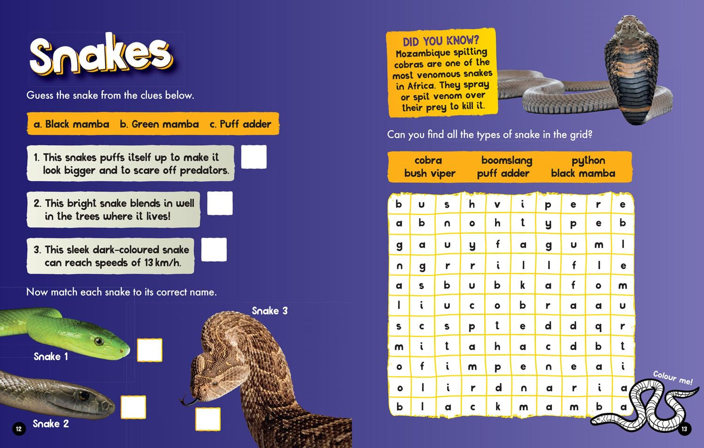 Safari Activity and Colouring Book (National Geographic Kids) - Anilas UK