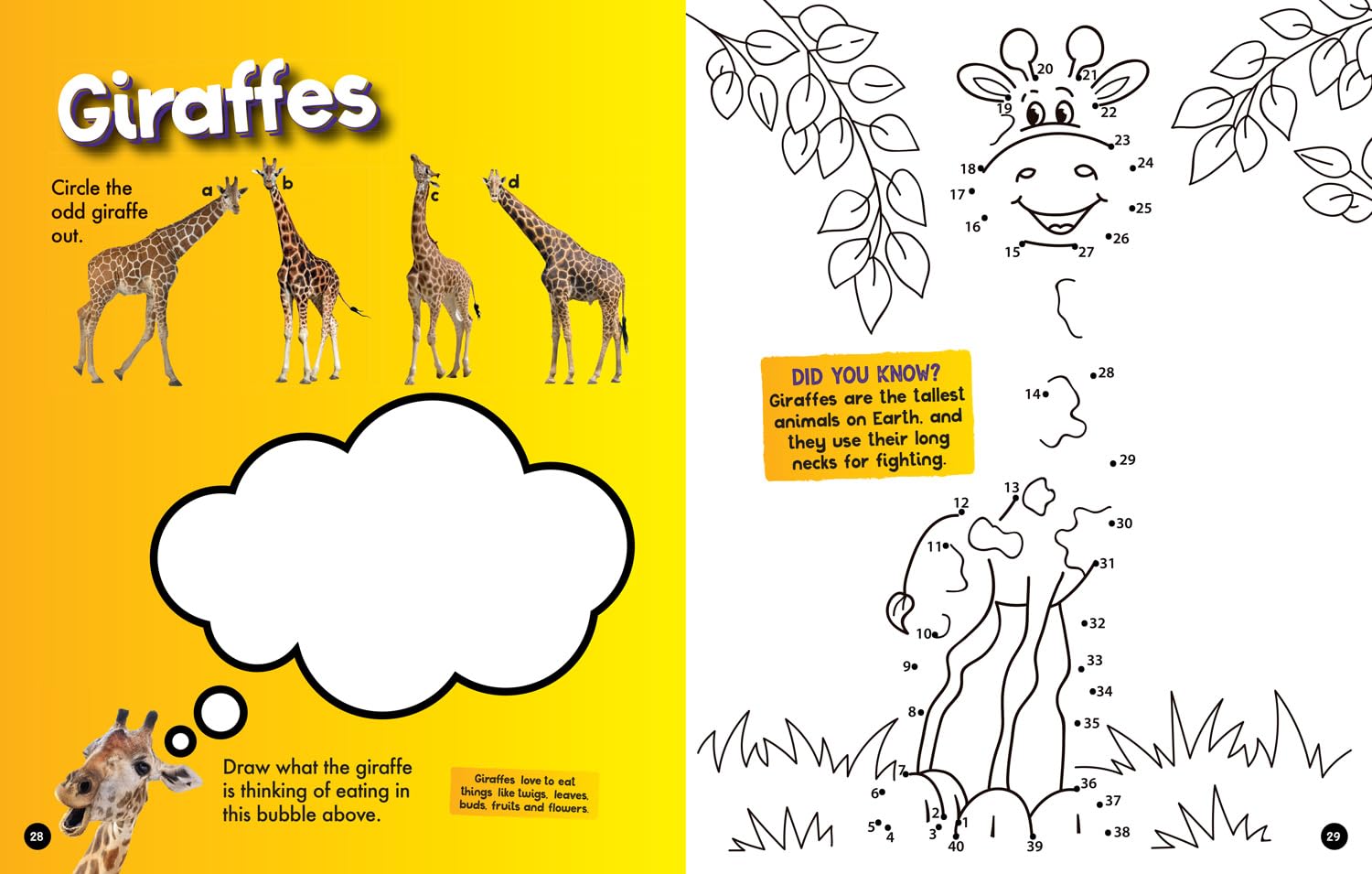 Safari Activity and Colouring Book (National Geographic Kids) - Anilas UK