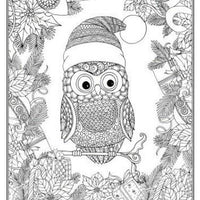 Christmas Advanced Colouring Book 1 Adult Colouring Book - Anilas UK