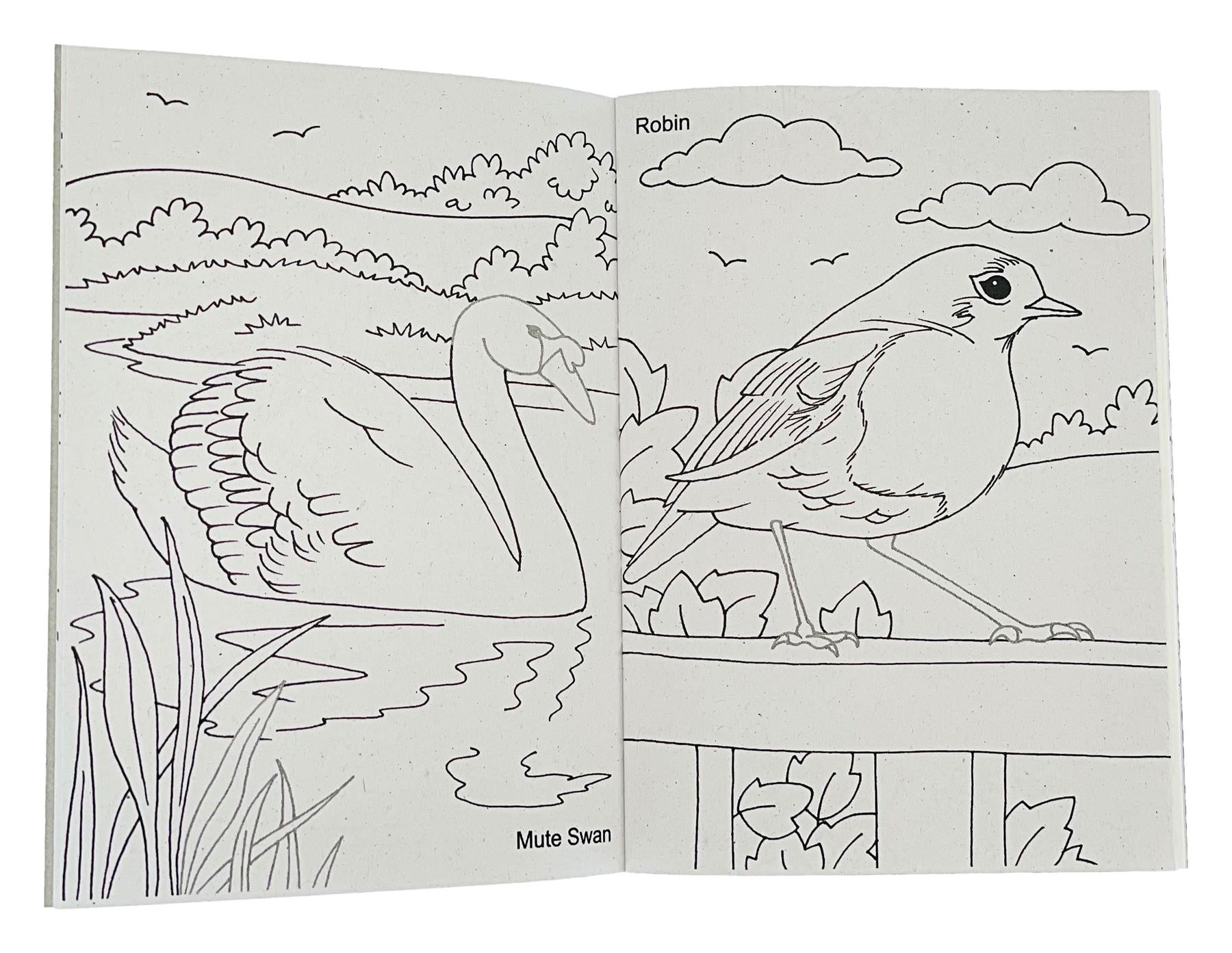 Mini Wildlife Sticker Activity Book - Anilas UK