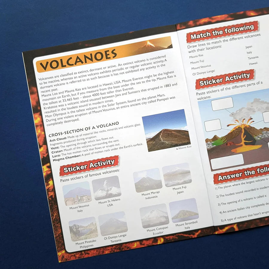 Discover Rocks & Minerals Sticker Book - Find, Stick and Learn - Anilas UK