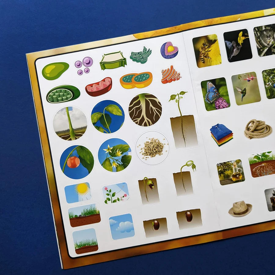 Discover Botany Sticker Book - Find, Stick and Learn - Anilas UK