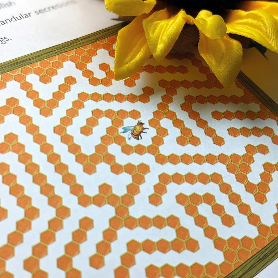 Discover Bees Sticker Book - Find, Stick and Learn - Anilas UK