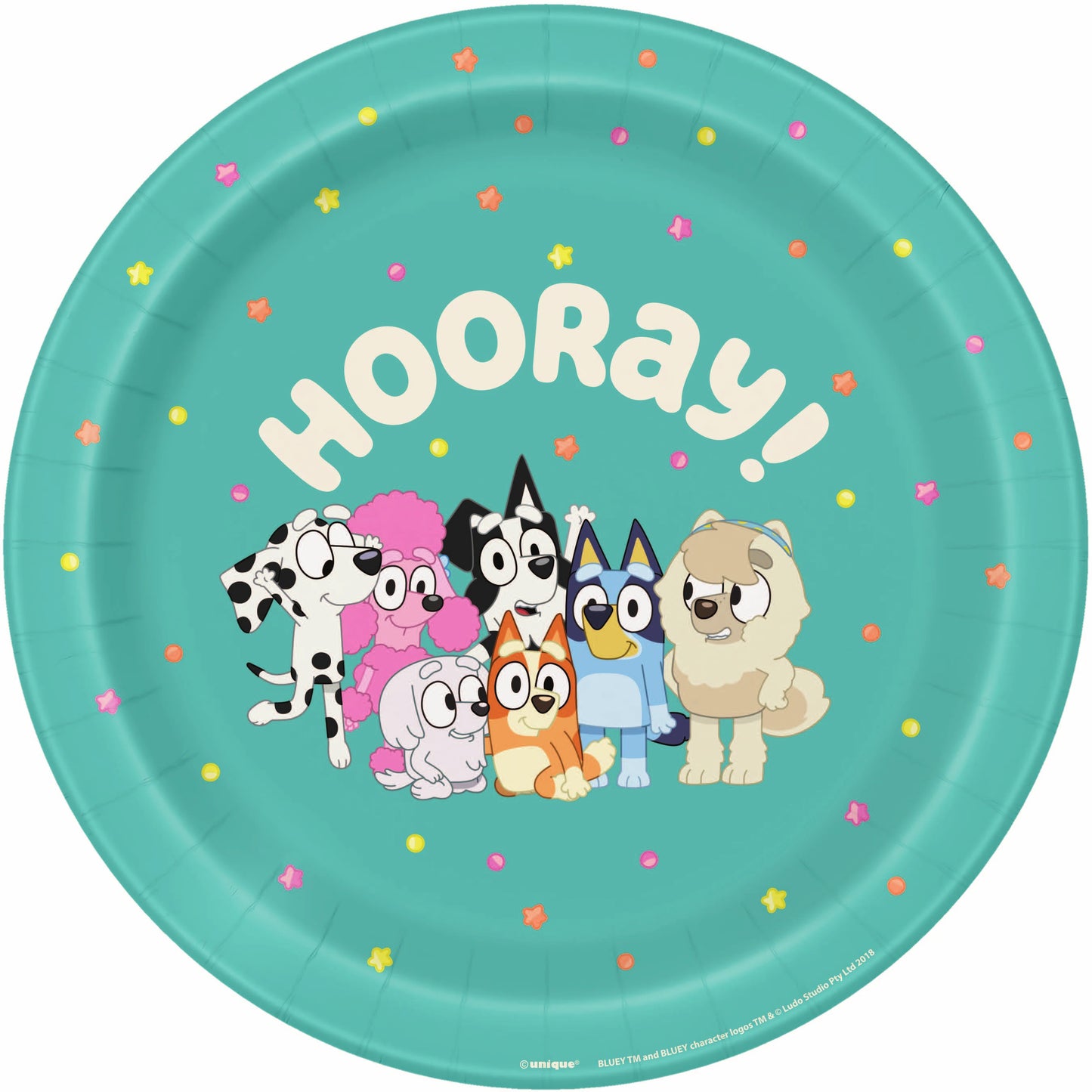 Anila's Bluey Family Party Pack for 16 people