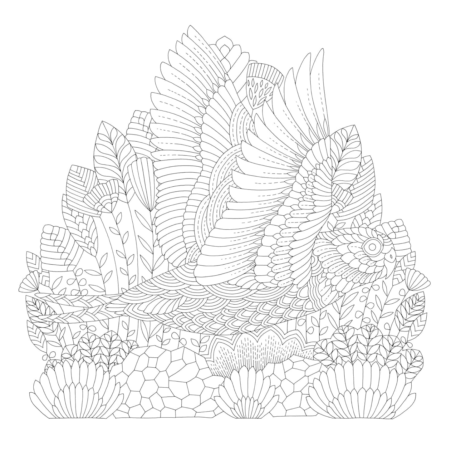 Millie Marotta's Precious Planet: A mindful colouring adventure