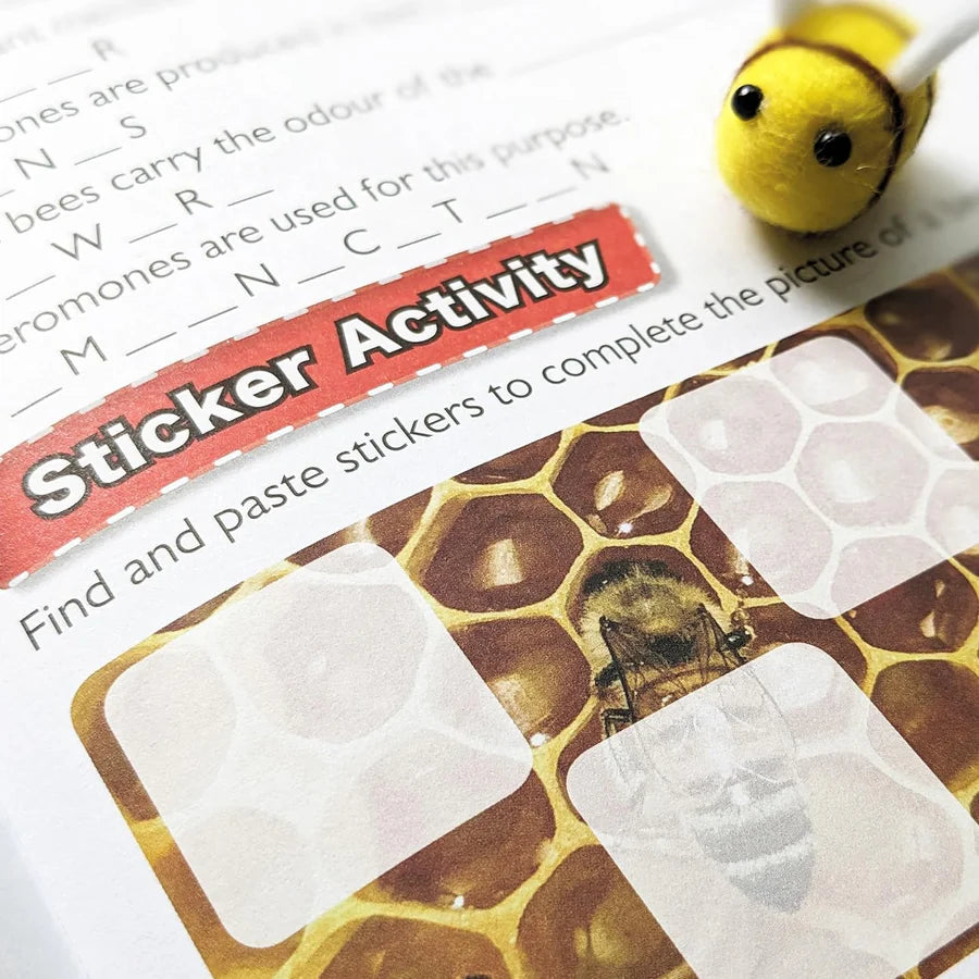 Discover Bees Sticker Book - Find, Stick and Learn - Anilas UK